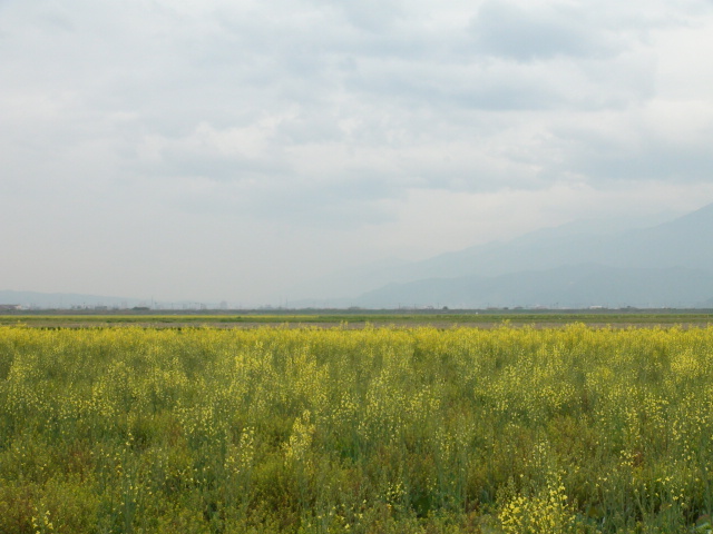 f0231709_16224039.jpg