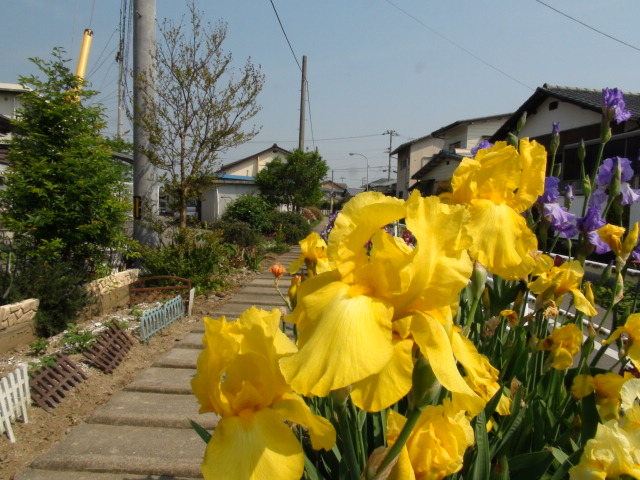 f0231709_9482018.jpg