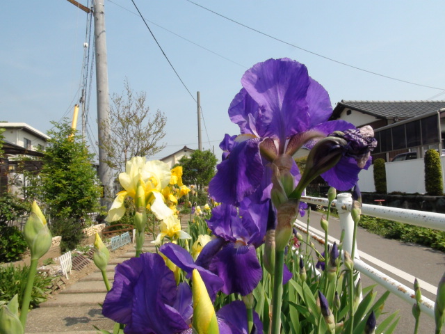 f0231709_94967.jpg