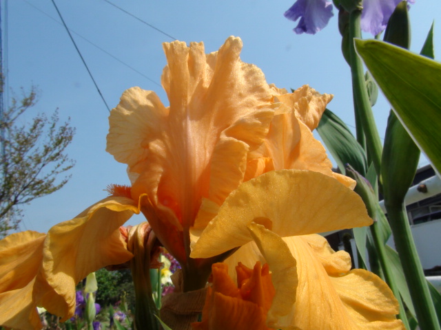 f0231709_9514024.jpg