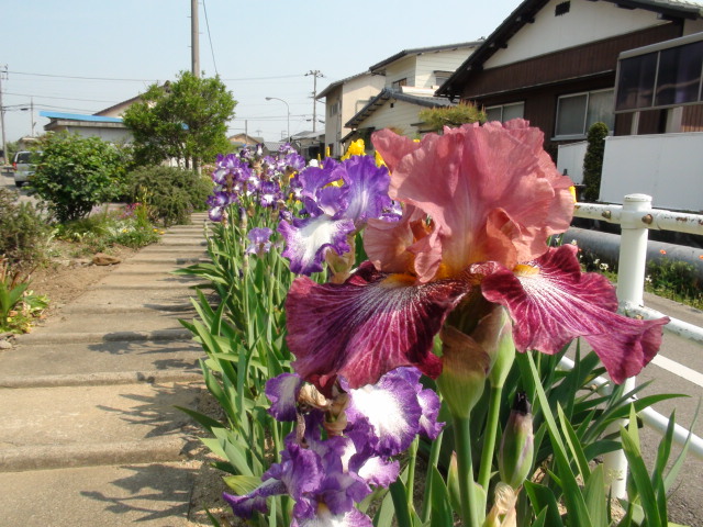 f0231709_9524085.jpg