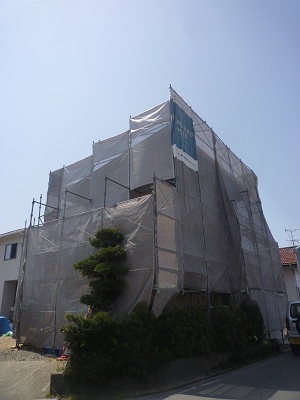 a0156611_828176.jpg