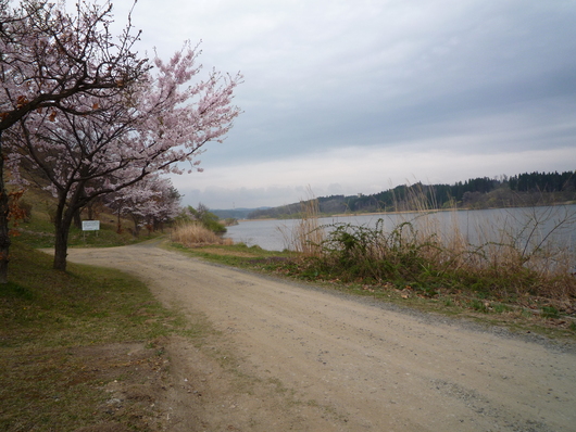 b0035611_22172624.jpg