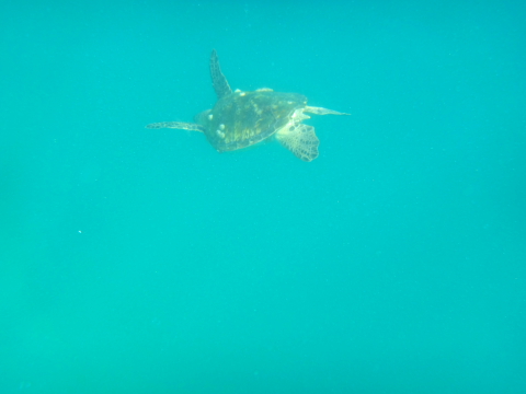d0077811_1192960.jpg