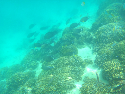 d0077811_119529.jpg