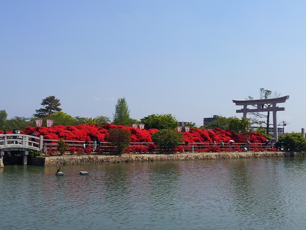 e0033713_18521037.jpg