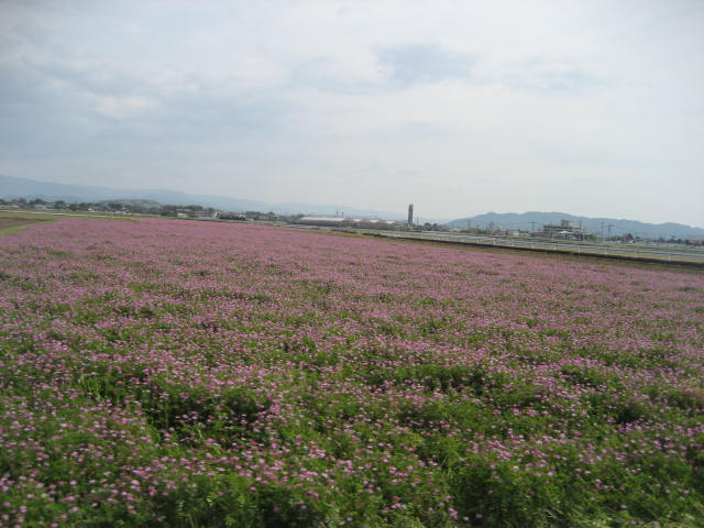 f0139520_19281495.jpg