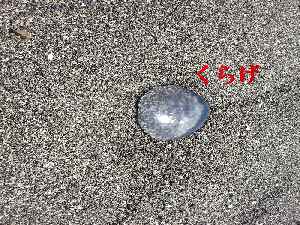 e0047322_21185864.jpg