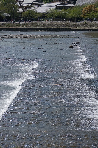 c0235725_16304737.jpg