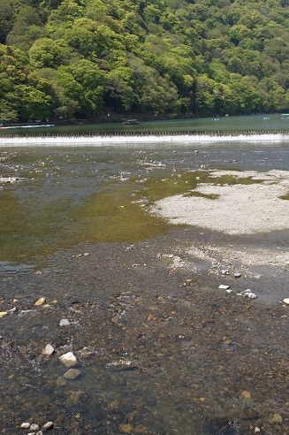 c0235725_16324587.jpg