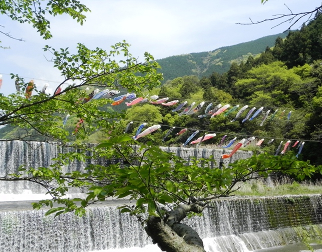 f0213825_8442782.jpg