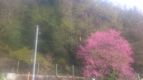 c0300035_975019.jpg