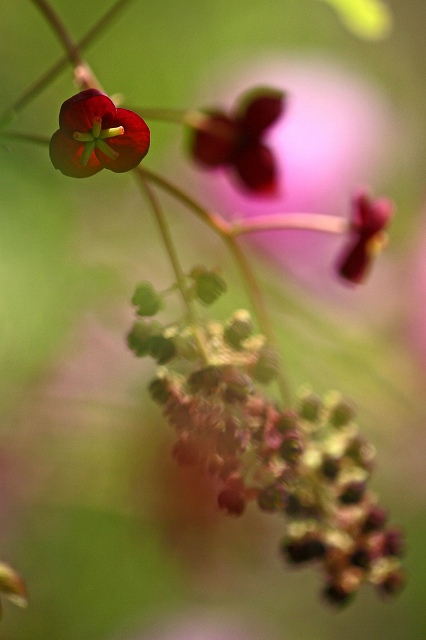 a0242438_19243317.jpg