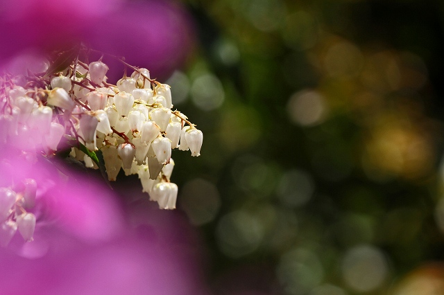 a0242438_19255510.jpg