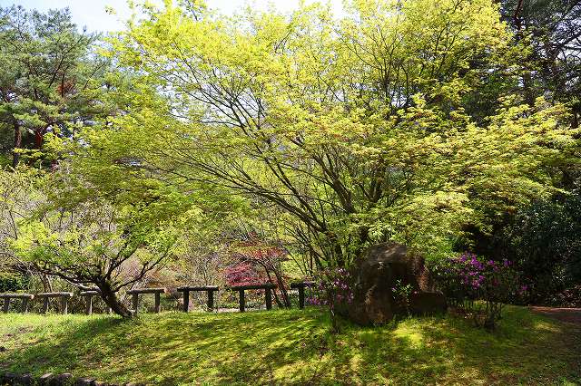 a0242438_1926989.jpg