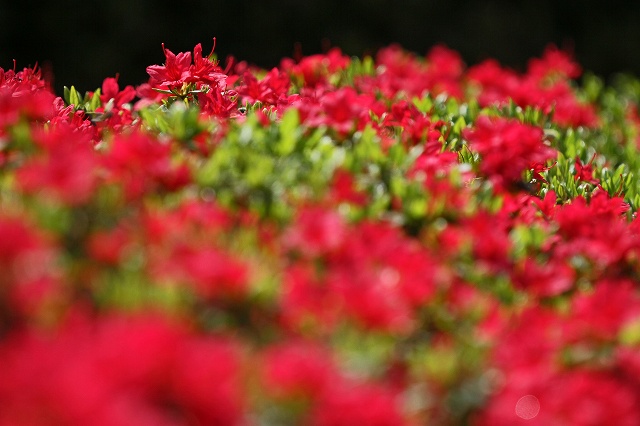 a0242438_19273217.jpg