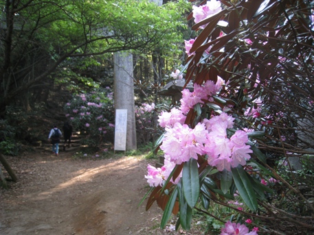 c0077338_5451110.jpg