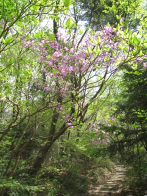 c0077338_546159.jpg