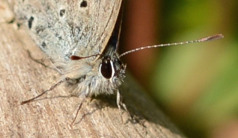 d0285540_20103319.jpg