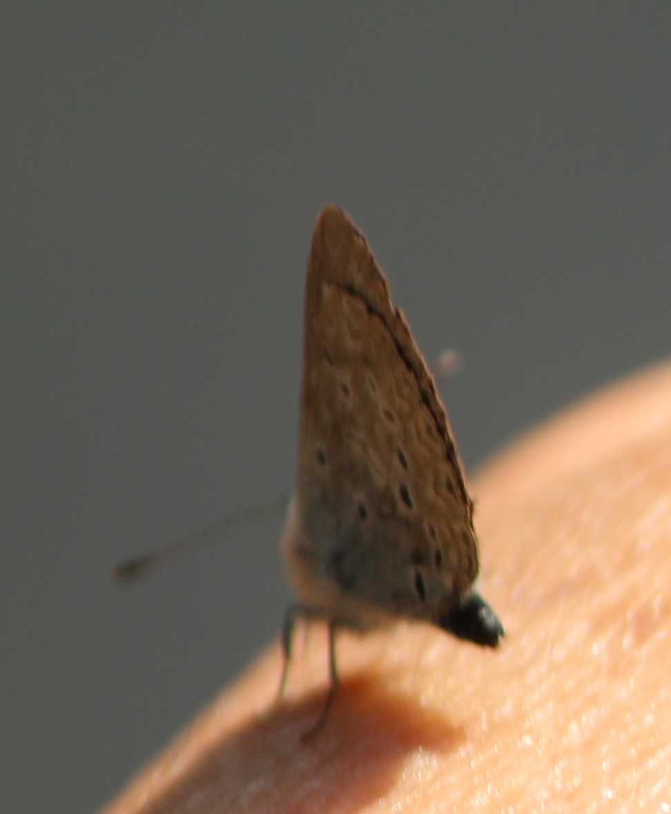 d0285540_20191014.jpg