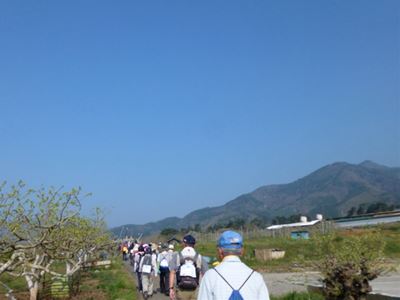 b0220251_13444539.jpg