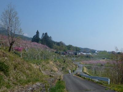 b0220251_1346463.jpg