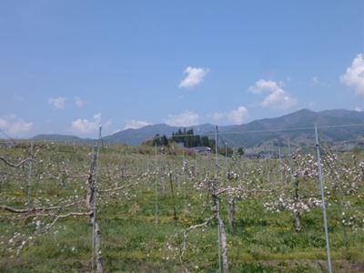 b0220251_13472422.jpg
