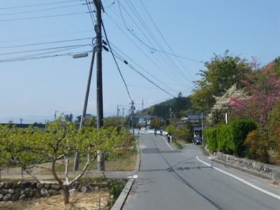 b0220251_13474527.jpg