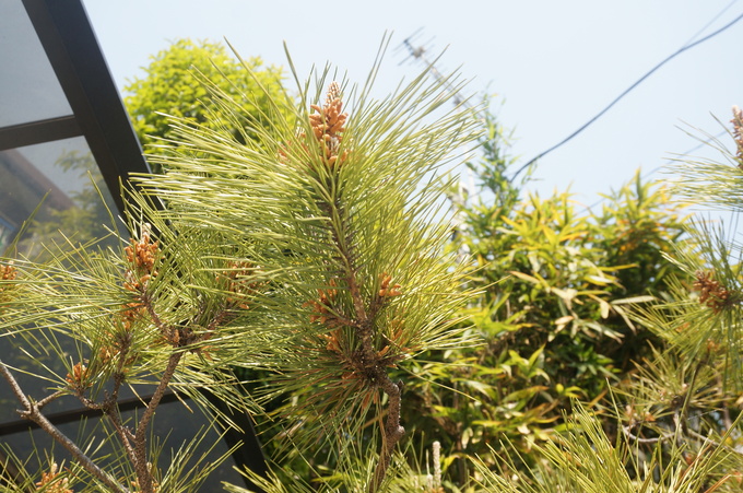f0257756_2314365.jpg