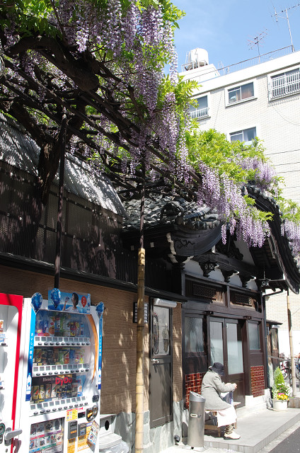 c0080357_8453859.jpg