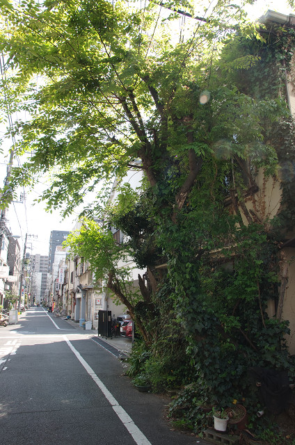 c0080357_845508.jpg
