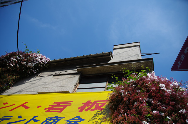 c0080357_8462343.jpg