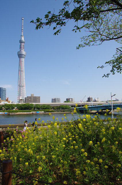 c0080357_8472316.jpg