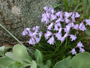 c0328559_211272.jpg
