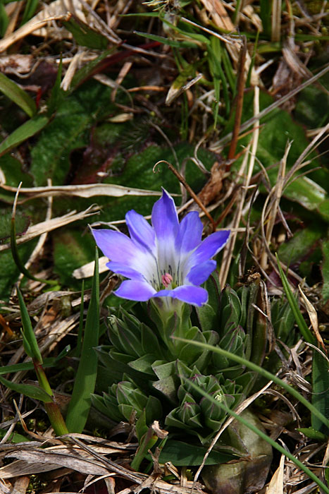 b0083462_160432.jpg