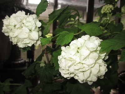 f0113862_17484081.jpg
