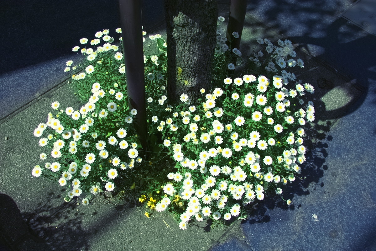 d0127164_18372252.jpg