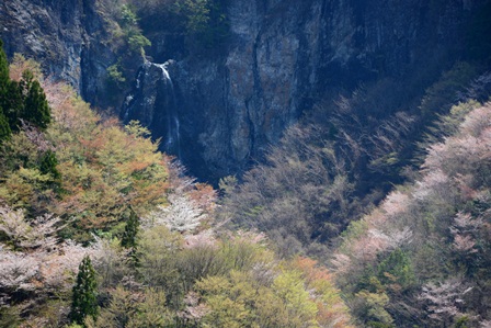 c0303868_7474133.jpg