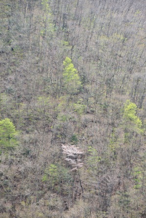 c0303868_7493868.jpg