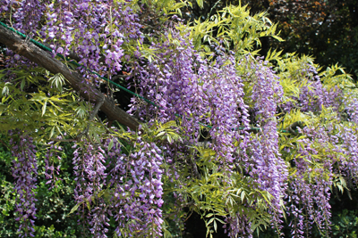 c0117570_14374221.jpg