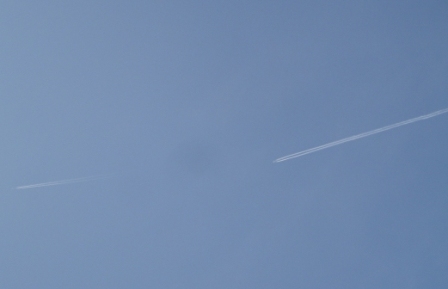 d0109373_1311589.jpg