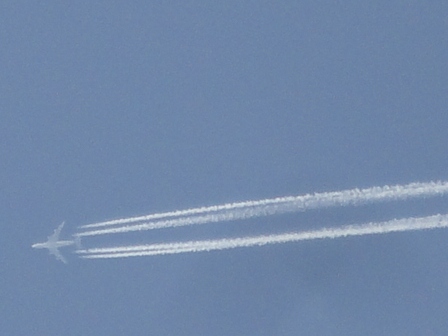 d0109373_13304.jpg