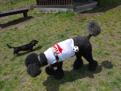 c0283778_1785114.jpg