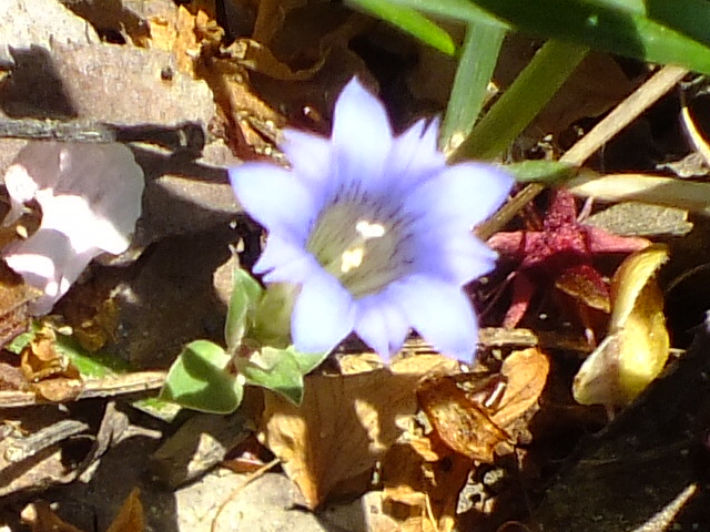 e0145782_17274150.jpg