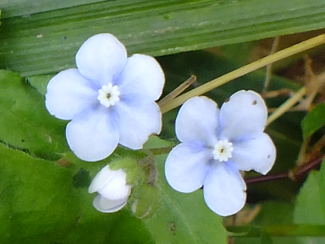 e0145782_17305767.jpg