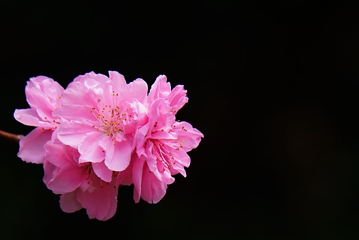 b0145398_22502340.jpg