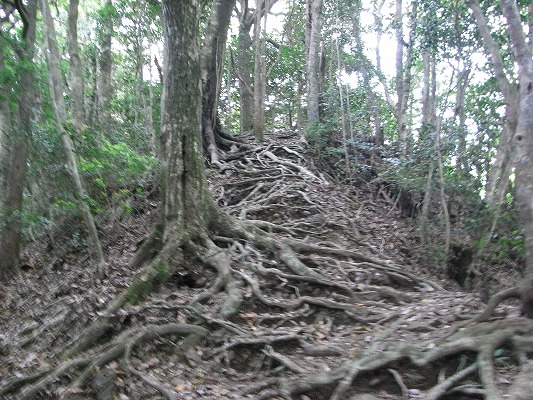 f0187402_1346938.jpg