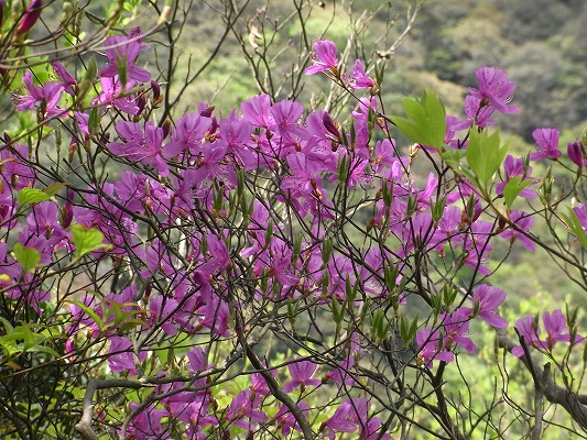f0187402_1347239.jpg