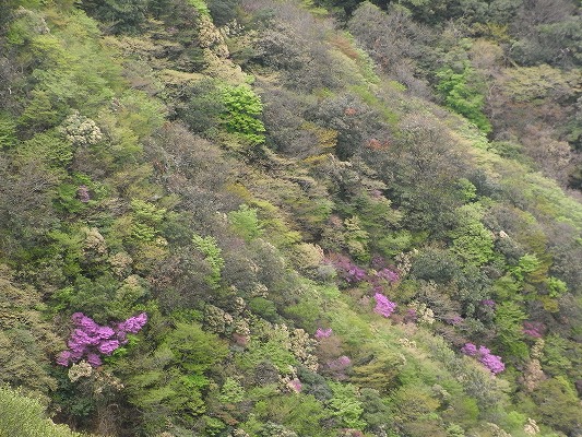 f0187402_1348069.jpg