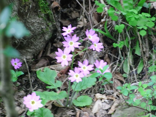 f0187402_13481818.jpg